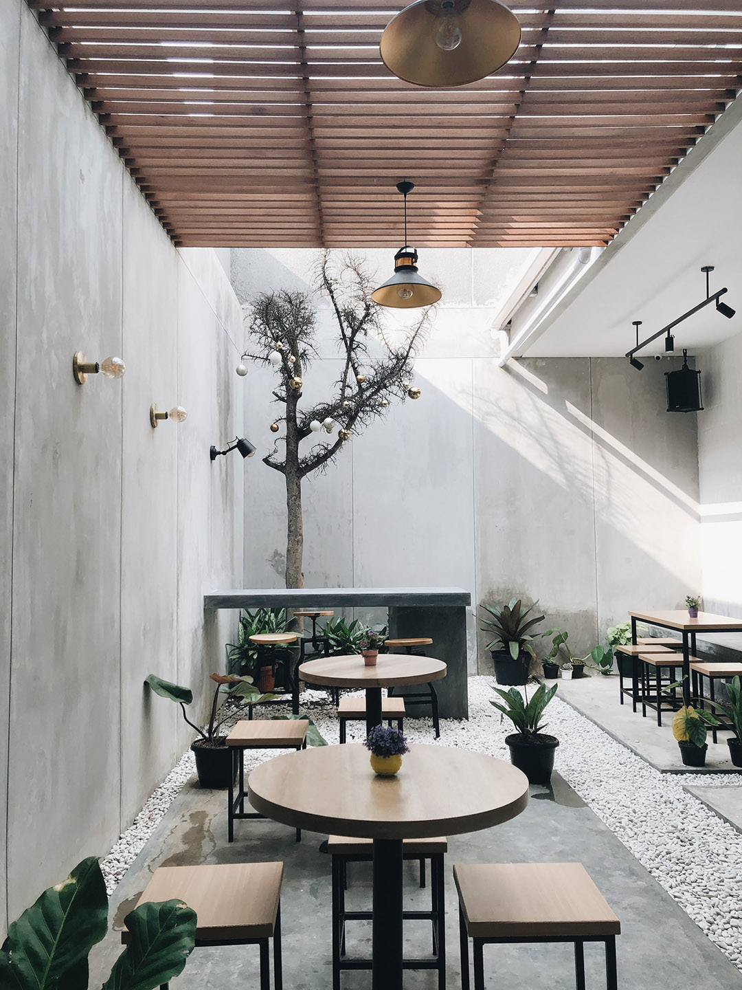 A room with a few of tables and plants